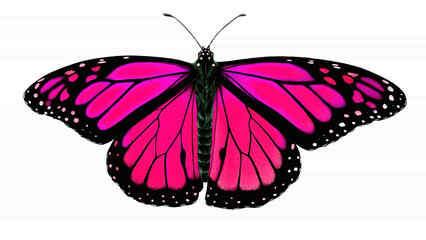 Vibrant Pink Monarch Butterfly With Outstretched Wings On A Clean White Background, Showcasing Bold...