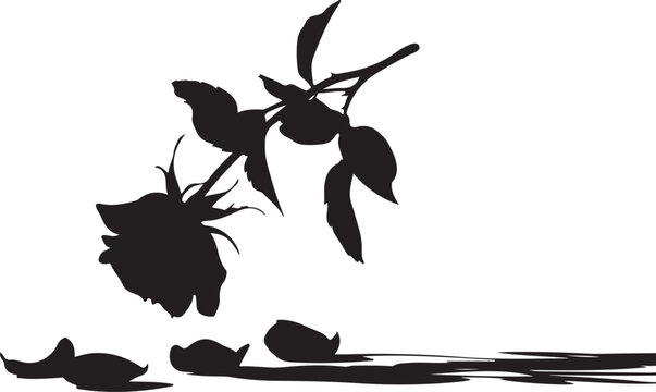 Black silhouette of a wilting rose with fallen petals