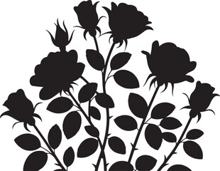 Black silhouette of rose bush with buds and leaves