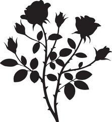 Black silhouette of rose bush with flowers and leaves