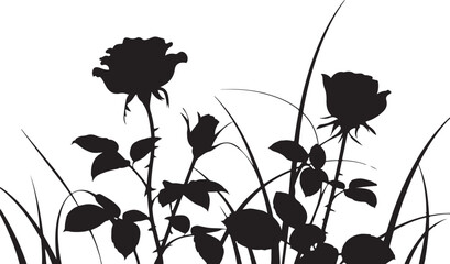 Black silhouette of roses and grass on white background