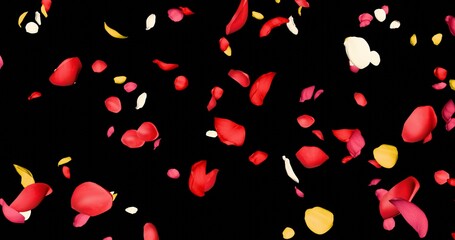 Colorful rose petals sway in the wind. Isolated on black background. 3D rendering.