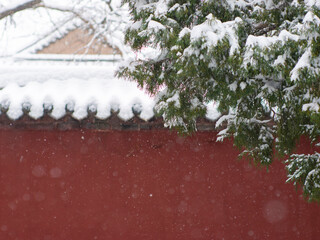 Dai Temple ancient buildings and historical sites in heavy snow