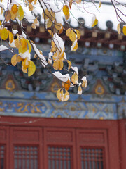 Dai Temple ancient buildings and historical sites in heavy snow