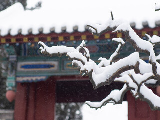 Dai Temple ancient buildings and historical sites in heavy snow
