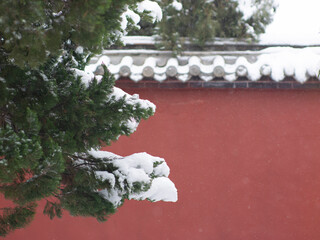Dai Temple ancient buildings and historical sites in heavy snow