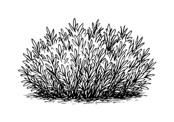 Bush cluster hand drawn simple sketch vector illustration