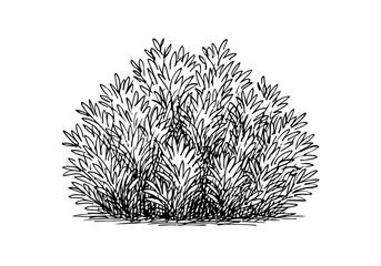 Bush cluster hand drawn simple sketch vector illustration