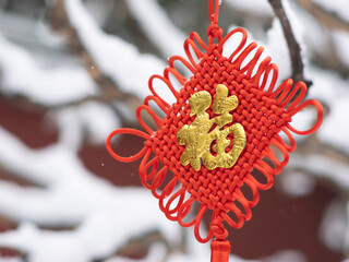 Dai Temple ancient buildings and historical sites in heavy snow