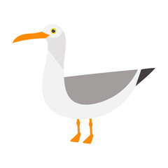 Illustration of a Seagull