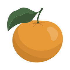 Orange Fruit Illustration With Green Leaf