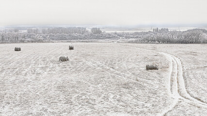 High key colored landscape with hay bales scattered in the field on a foggy and frosty day in Saskatchewan, Canada