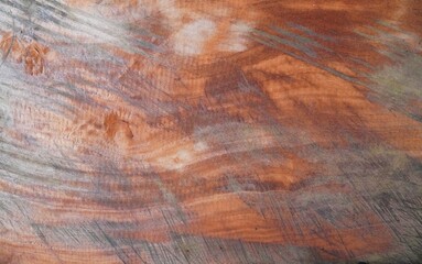 old wood texture. Top view of wood vein cut. light brown white textured tree trunk with veined...