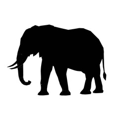 Fototapeta premium Geometric Elephant Low Poly Safari Animal Black Silhouette Vector Icon Isolated on White Background for Modern Art