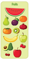 Colorful Assorted Fruits Vector Illustration on Light Background