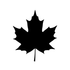 Fototapeta premium Maple Leaf Shape Nature Fall Foliage Black Silhouette Vector Icon Isolated on White Background for Autumn Design
