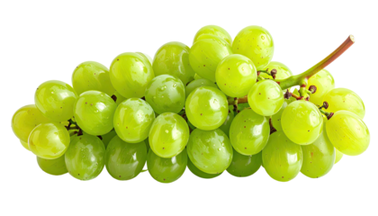 A vibrant bunch of translucent green grapes on a stem, isolated on black