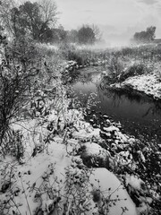 Fresh snow fall during a windy winter morning along West Mimico Creek at Eastbourne Park in Brampton, Ontario, Canada