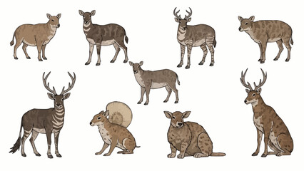 Fototapeta premium set of wild animals