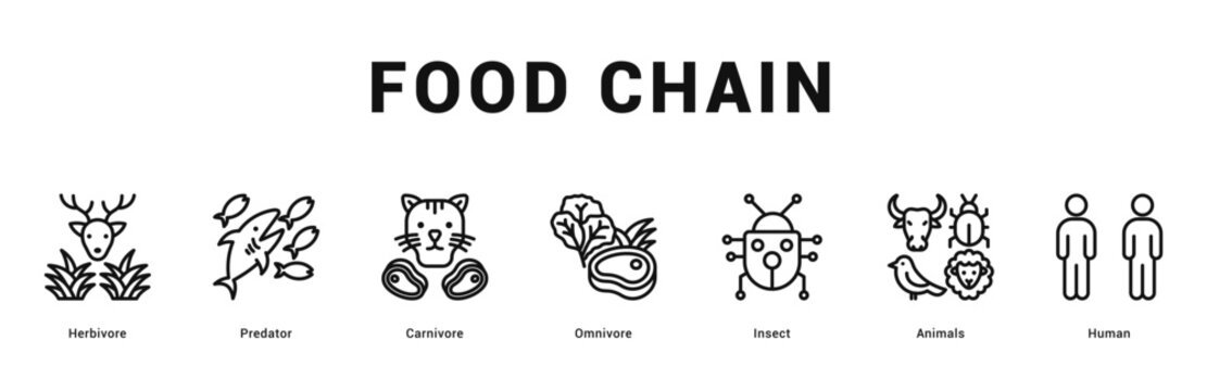 Food Chain Modern and clean web banner illustration featuring thematic icons for visual communication