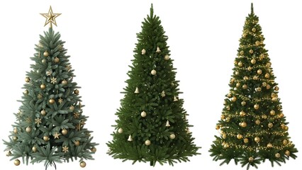 Three festive evergreen Christmas trees beautifully decorated with shimmering golden ornaments and twinkling lights, evoking holiday cheer and seasonal celebration