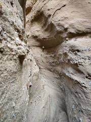 Anza Borrego State Park