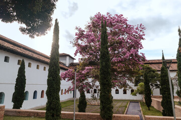 Fototapeta premium Calles y ocobos de Ibagué y el Museo Panóptico de Ibagué con una vista desde varios ángulos 