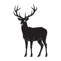 Fototapeta premium Majestic stag with impressive antlers standing proudly
