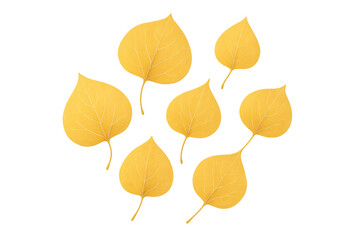 Obraz premium Yellow autumn leaves falling transparent background representing season changing and nature lifecycle