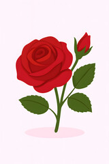 Fototapeta premium Rose flower or bunga mawar (local flower malaysia)