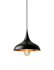 Modern and simple pendant light against an isolated background.