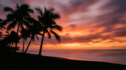 Obraz premium Silhouetted Palm Trees Forming A Dense Canopy.