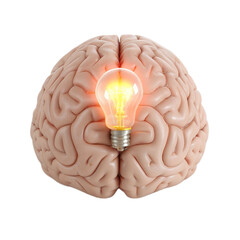 Creative brain model with glowing light bulb symbolizes innovative ideas and inspiration against transparent background