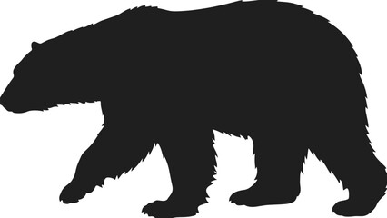 Large black bear silhouette walking, wild animal, nature, wilderness, grizzly, wildlife, predator, forest, mammal, power, vector.