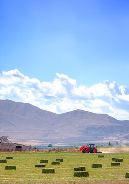 Tractor working on the fields