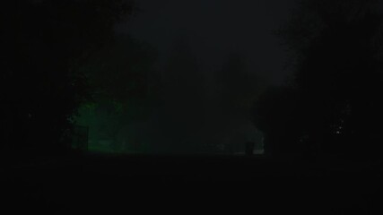 Dark foggy street with dim green lighting and tree silhouettes creates an atmosphere of mystery and uneasy calm