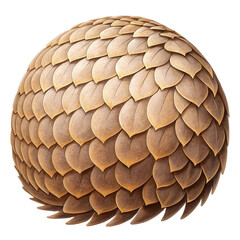 Beautifully pangolin scale patterns, showcasing warm brown color with transparent background