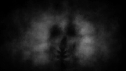 Horror fantasy 2D animation for Halloween. Scary night atmosphere. A creepy animated short video clip. Dark Vj loops. Black and white background. 