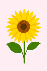 Sunflower Bunga matahari (local flower malaysia)