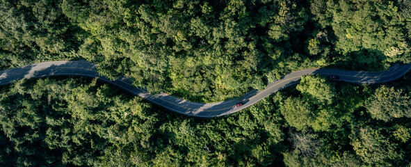 Road in the middle of the forest , trees with red and orange leaves , Beautiful landscape view from flying drone in Nature