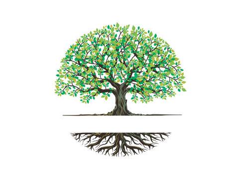tree and roots logo templates in circular shape, oak tree with the gap between the tree and the root to fill in the writing.