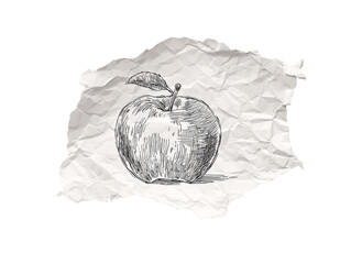 Apple sketch on a transparent background on crumpled paper