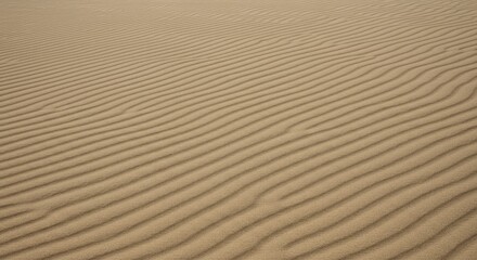 Obraz premium Close-up view of sand dunes with subtle ripples. Fine-grained, light brown sand