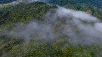 aerial view of fog and dark green forest Rich natural ecosystem, rainforest, natural forest conservation concept.	
