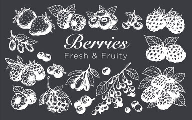 Hand-Drawn Berries Collection Fresh & Fruity Sketch Set