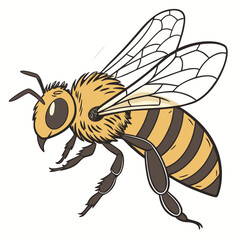 bee on white background