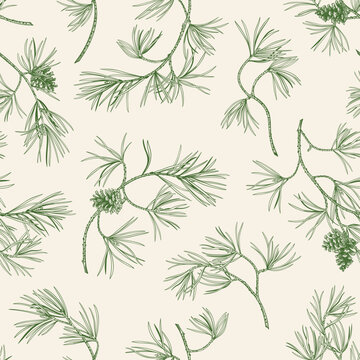 Seamless botanical pattern with pine branches and cones. Engraving technique.