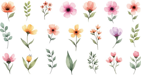 A beautiful collection of delicate watercolor flowers and leaves, featuring various botanical elements in soft pastel hues, perfect for elegant design projects.