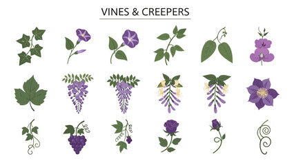 A grid of fifteen illustrations of various vines and creepers plants and flowers © Faisal
