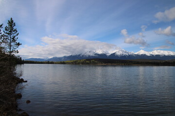 Open Lake, Jasper National Park, Alberta